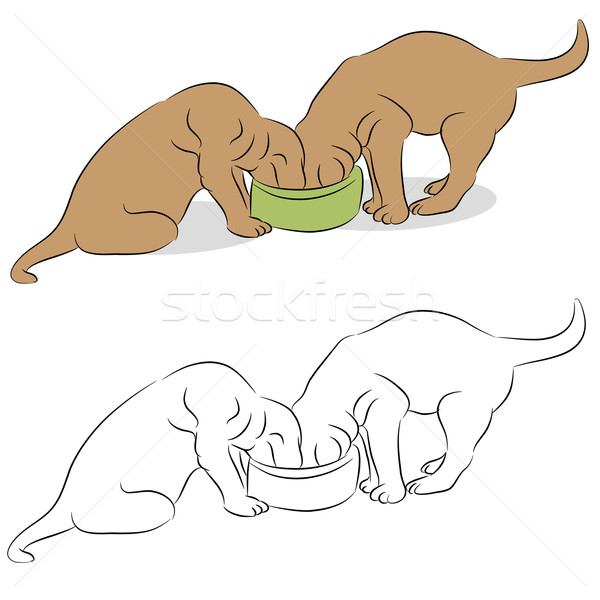 600x600 Two Labrador Puppies Eating From A Dog Bowl Vector Illustration