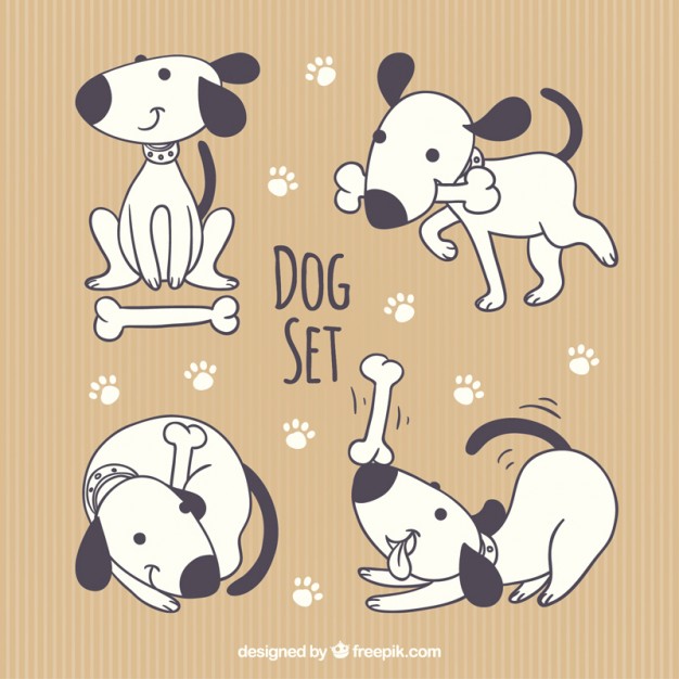 626x626 Cute Dog Collection Vector Free Download
