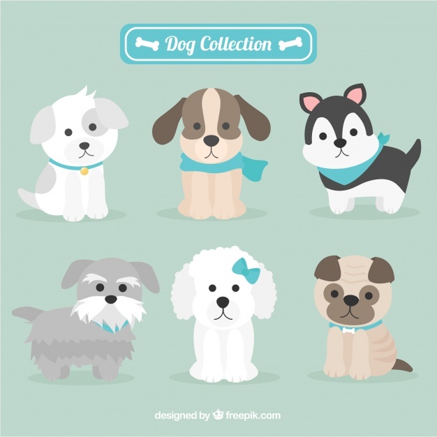 626x626 Dog Vectors, Photos And Psd Files Free Download