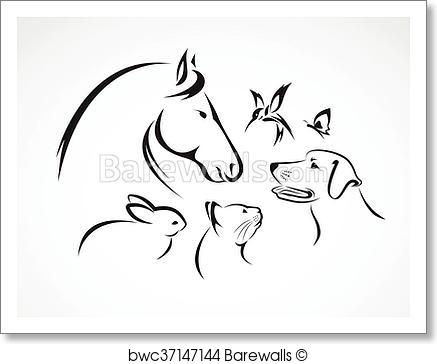 437x364 Art Print Of Vector Group Of Pets
