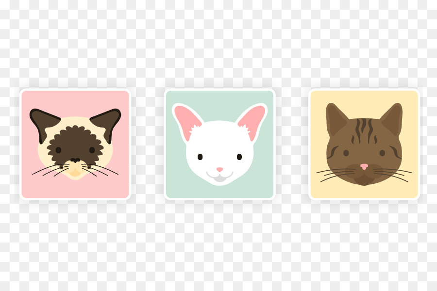 900x600 Siamese Cat Dog Cat Breed Animal