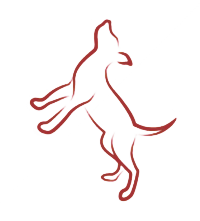 700x773 Stock Vector Dog Cat Rabbit Animal Drawing Vector 70528081 Paws