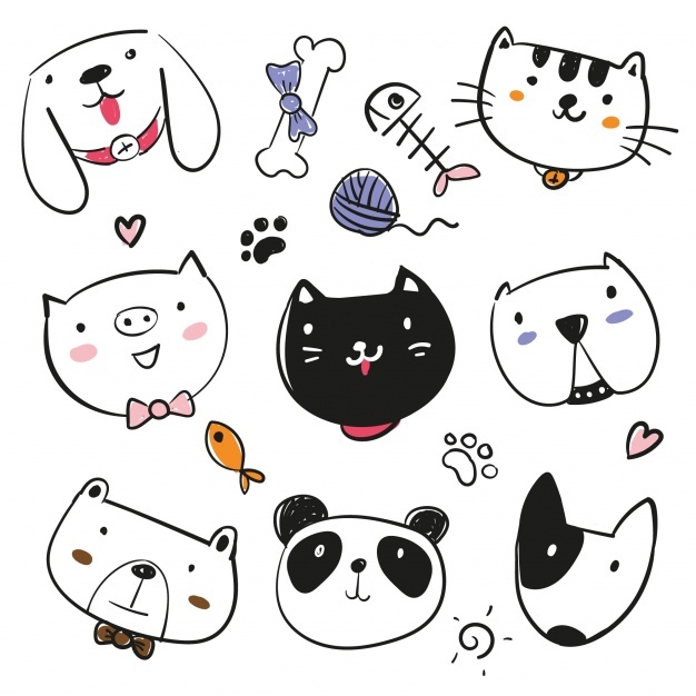 626x626 Cats And Dogs Vectors, Photos And Psd Files Free Download