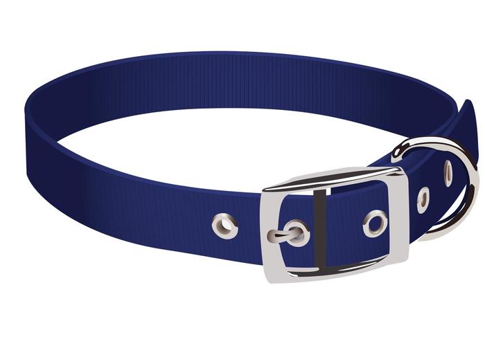 700x490 Blue Dog Collar Vector Free Vector Art