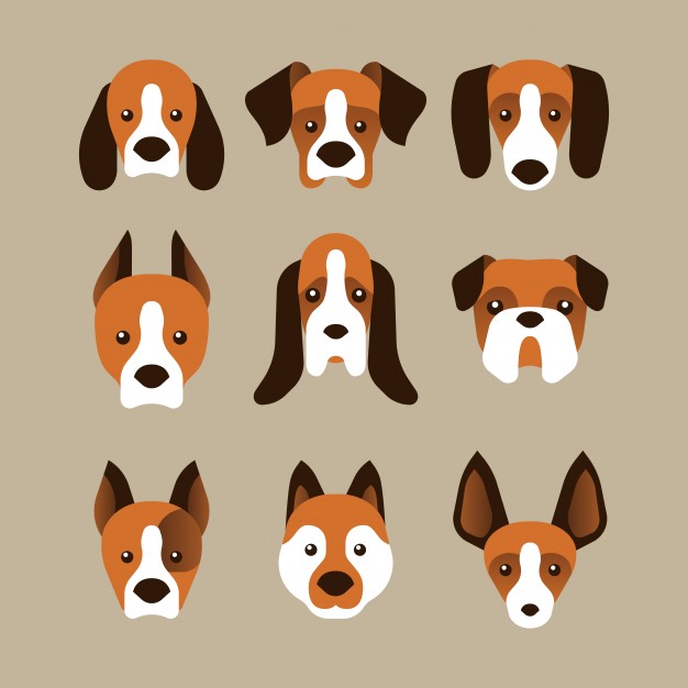 626x626 A Set Of Dog Face Variants In Flat Style Vector Free Download