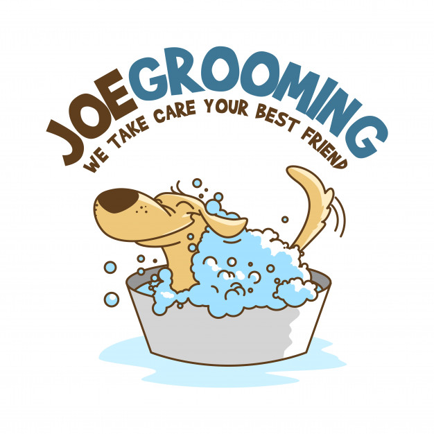 626x626 Dog Grooming Vector Premium Download