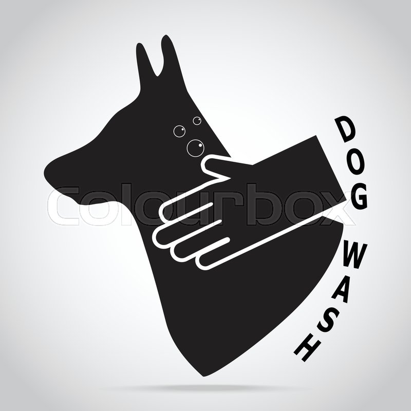 800x800 Dog Wash Pet Grooming, Dog Care Concept Stock Vector Colourbox