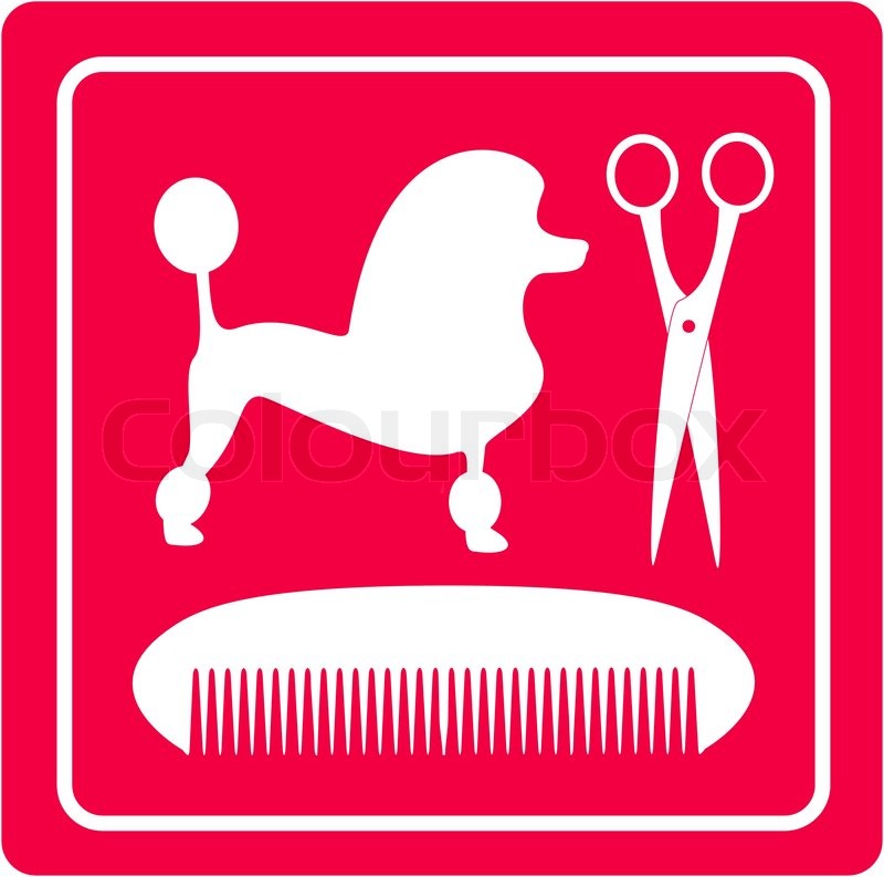800x793 Grooming Icon With Poodle Dog, Scissors And Comb Stock Vector