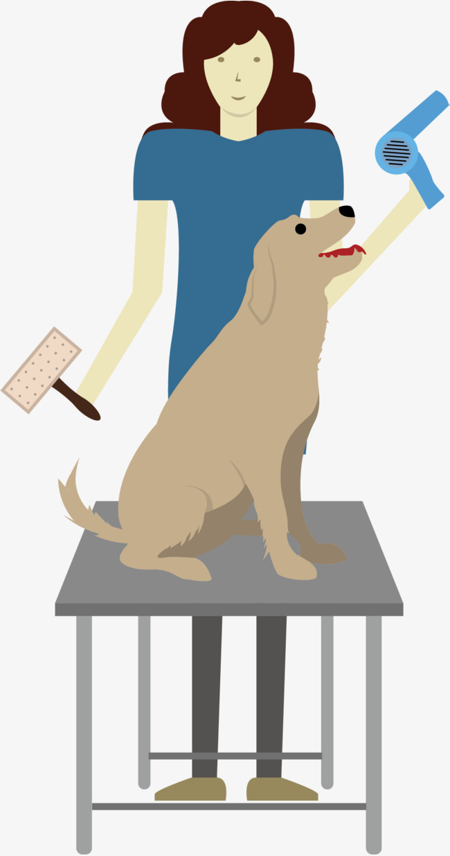 650x1235 Pet Grooming, People And Pets, Pet Dog, Cartoon Png And Vector For