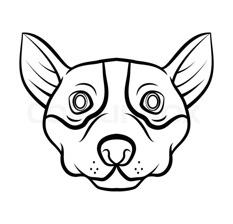 800x770 Dog Head Vector Illustration Stock Vector Colourbox