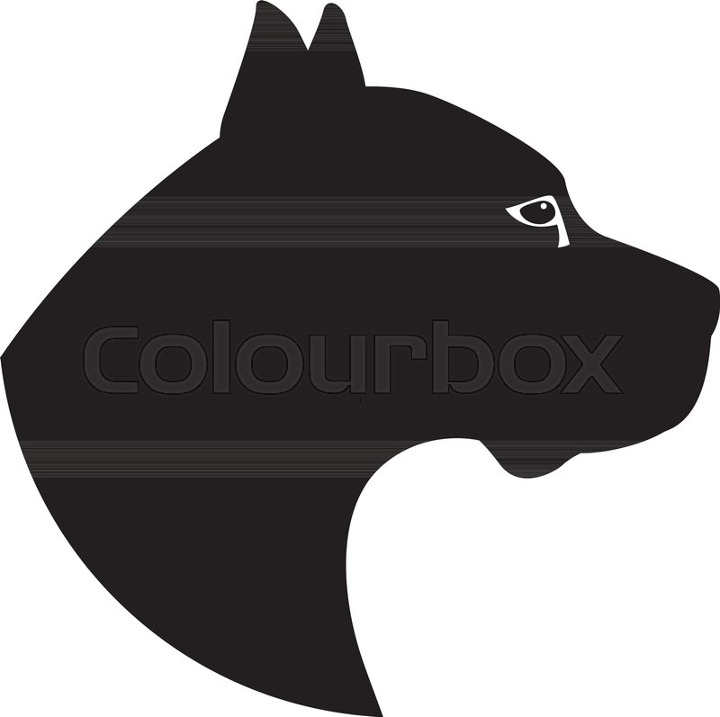 800x797 Argentine Dog Head Vector Illustration Black Silhouette Profile