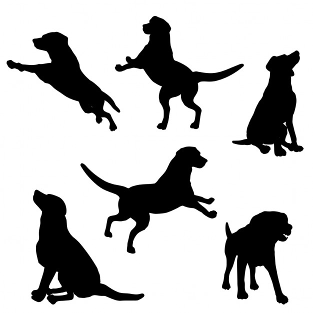 626x626 Dog Silhouette Vectors, Photos And Psd Files Free Download