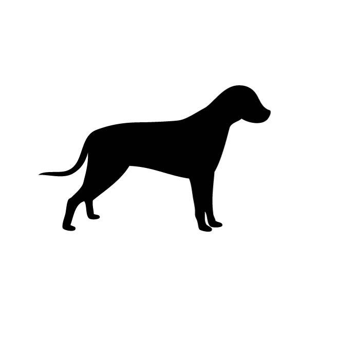 660x660 Download Vector