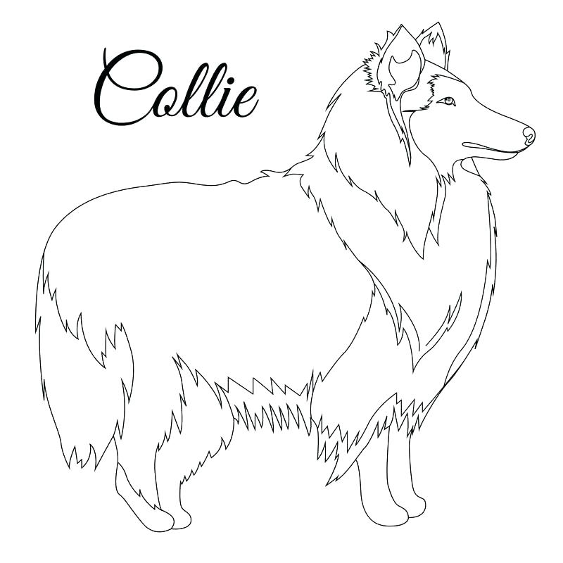 800x800 Dog Head Template Shape Templates Plus Outline Vector Clntfrd.co