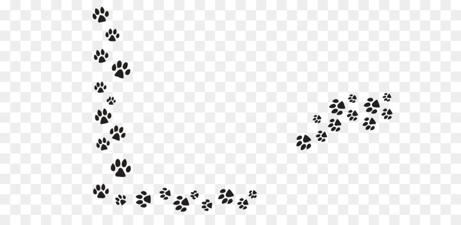 900x440 Dog Pet Sitting Cat Paw