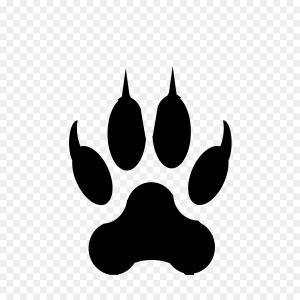 300x300 Dog Paw Vector Footprint Logo Icon Graphic Symbol Illustration