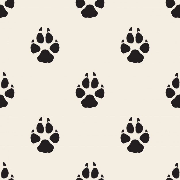 Dog Paw Vector at GetDrawings | Free download