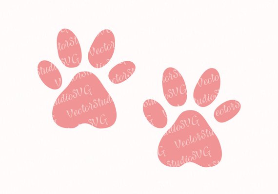 570x399 Cat Paws Svg Animal Paw Vector Clipart Dog Paws Png Silhouette Etsy
