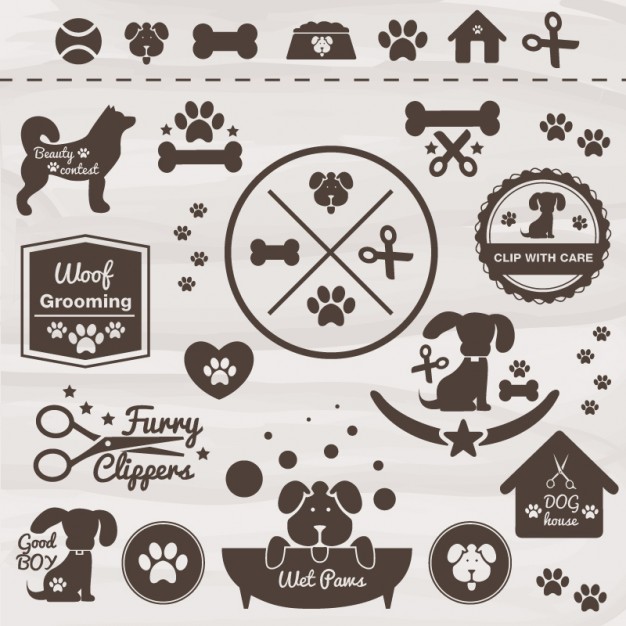 626x626 Paw Vectors, Photos And Psd Files Free Download