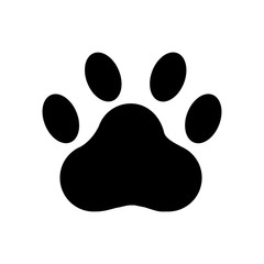 240x240 Paw Photos, Royalty Free Images, Graphics, Vectors Amp Videos