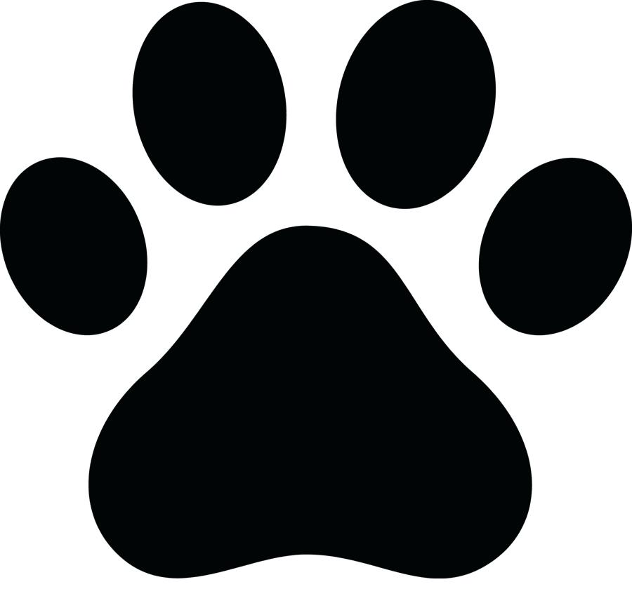 The best free Paw print vector images. Download from 4059 free vectors ...