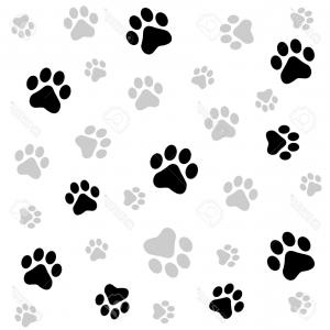 300x300 Photostock Vector Dog Paw Print Seamless Pattern On White