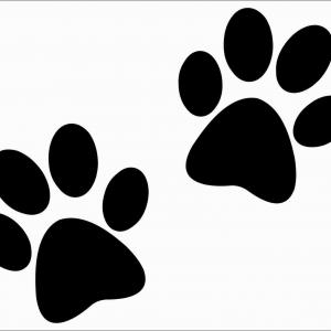 300x300 Seamless Pattern With Dog Paw Print Vector Clipart Sohadacouri