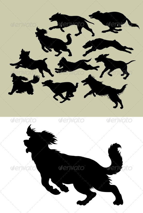 590x881 Dog Running Silhouettes Silhouette, Characters And