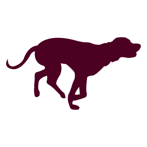 512x512 Dog Running Sequence 7