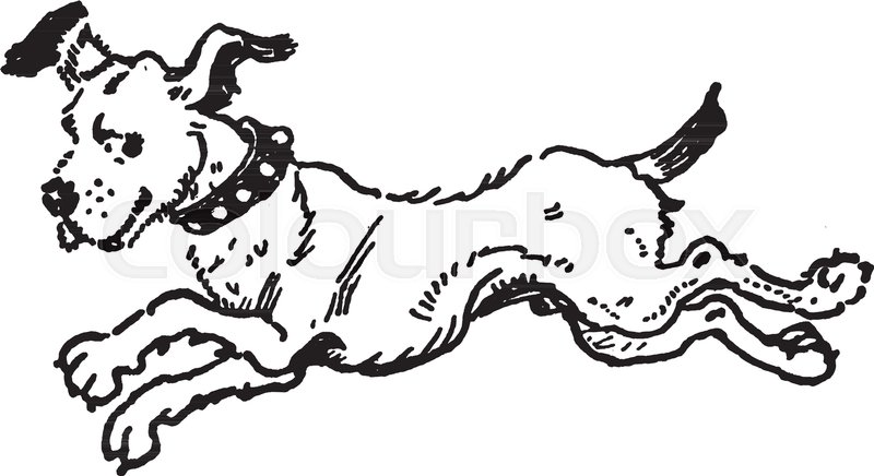 800x436 This Illustration Represents Dog Running, Vintage Line Drawing Or