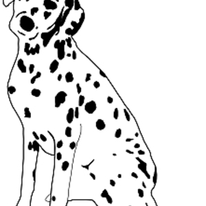 300x300 Dalmatian Dog Sitting Vector