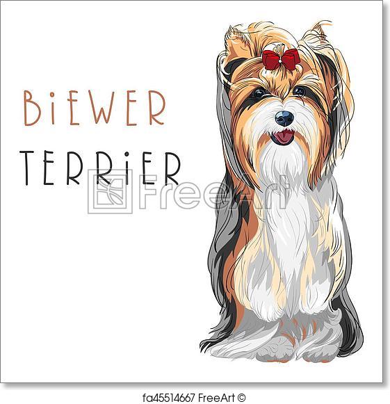 561x581 Free Art Print Of Vector Funny Biewer Yorkshire Terrier Dog