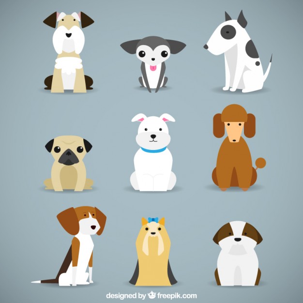 626x626 Perro Clipart Dog Sitting