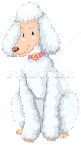 336x600 White Poodle Dog Sitting Vector Illustration Daniel Cole
