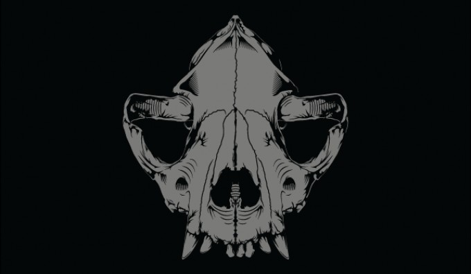 680x395 Dog Skull Vector Vectorish