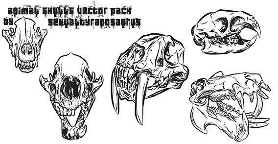 568x294 Download Skull Vector Free Download Vector Graphic For Free!