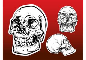 286x200 Dog Skull Free Vector Art