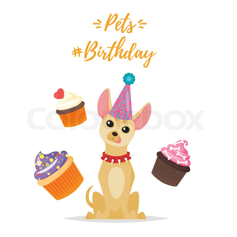 800x800 Vector Cartoon Style Illustration Of Dog Birthday Party Greeting