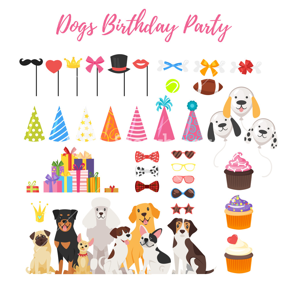 1000x996 Vector Cartoon Style Set Of Dog Party And Birthday Elements For