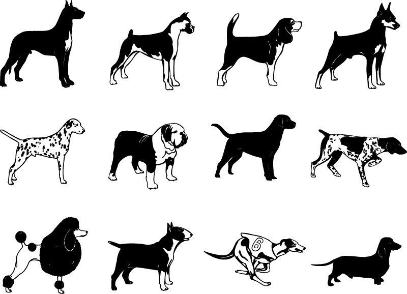 800x578 Dog Breed Silhouette Vector Clip Arts Free Download