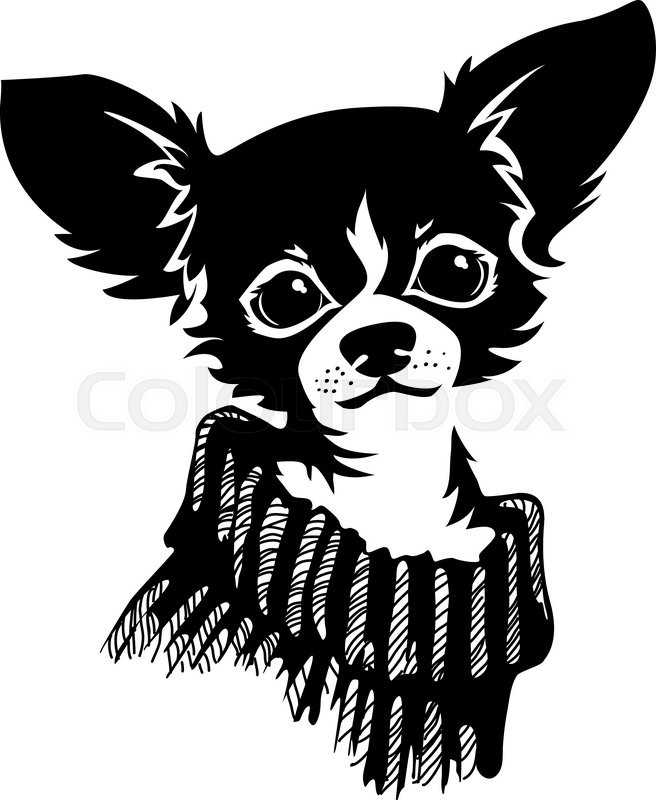 656x800 The Head Of Chihuahua Dog. Dog Vector Illustration. Stock Vector