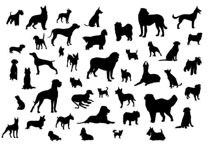 700x490 Dog Silhouettes