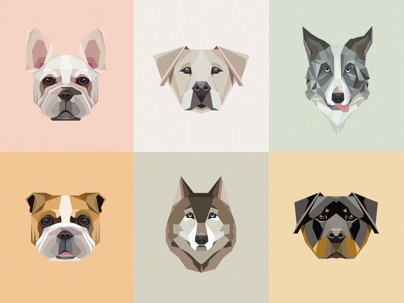 800x600 Geometric Dogs Collection Illustration