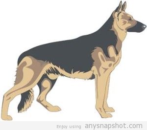 300x266 Dog Image Graphic