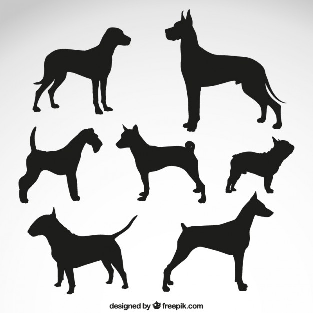 626x626 Dog Vectors, Photos And Psd Files Free Download