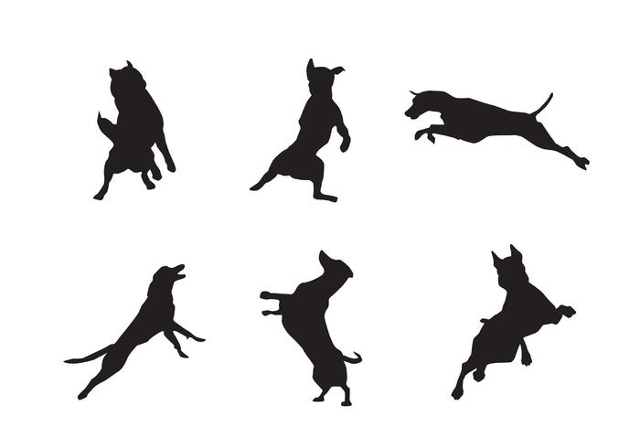 700x490 Dog Vectors Free Vector Graphics Everypixel