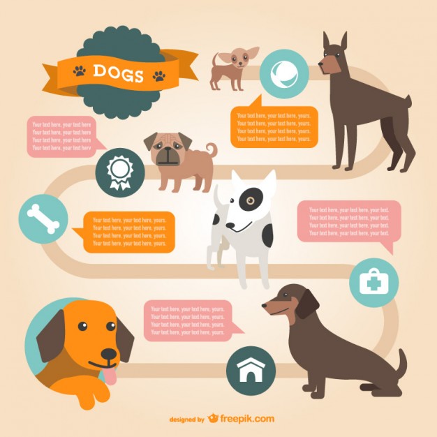 626x626 Dogs Vector Infographic Vector Free Vector Download In .ai, .eps