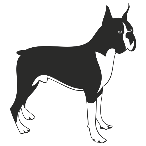 500x500 Free Vectors Boxer Dog Vector Free Vector