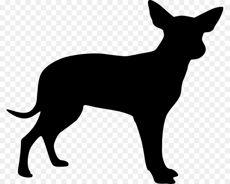 900x720 Mexican Hairless Dog Chihuahua Drawing Clip Art
