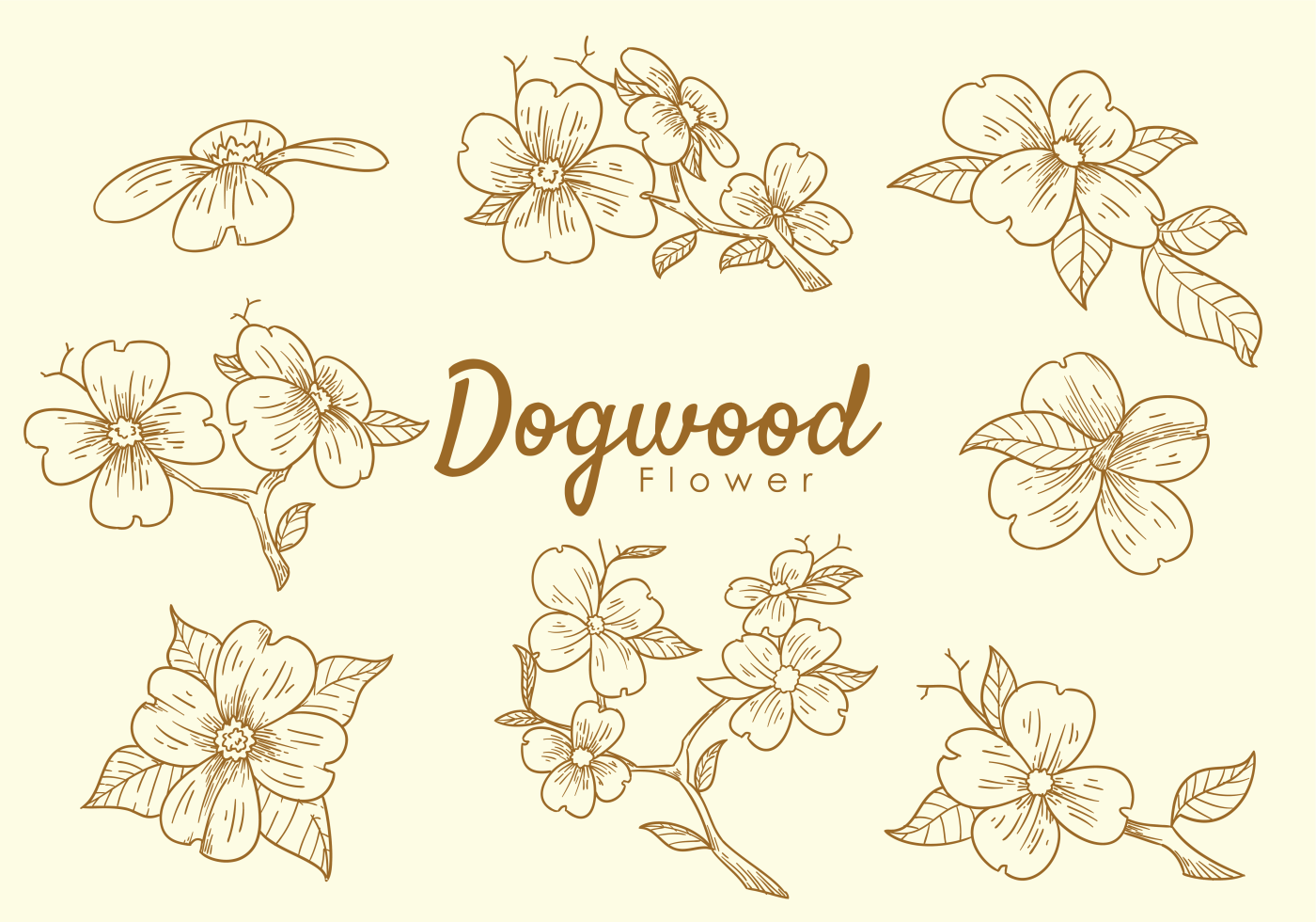 1400x980 Dogwood Flower Free Vector Art